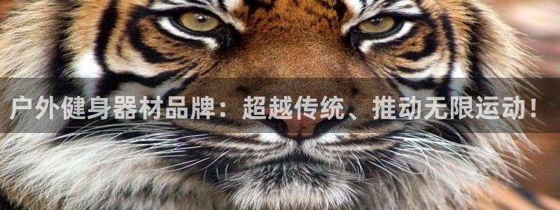 意昂2娱乐