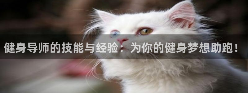 意昂2娱乐