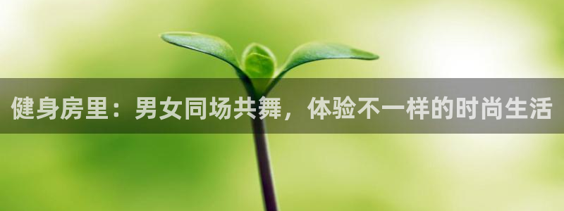 意昂2招商