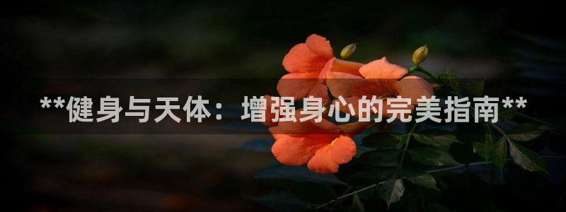 意昂2招商