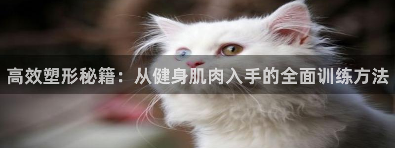 意昂2官方网站